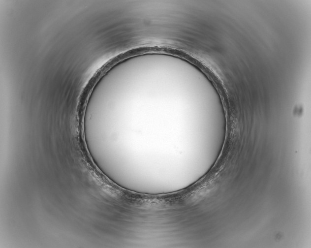 X0000093620927200710291223