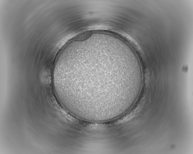 X0000093620929200710291223