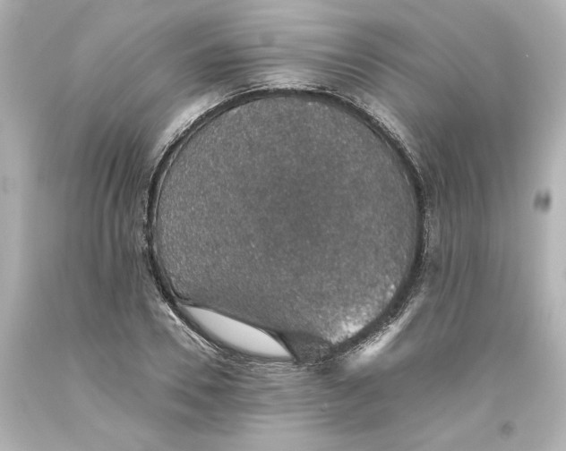 X0000093620930200710291223