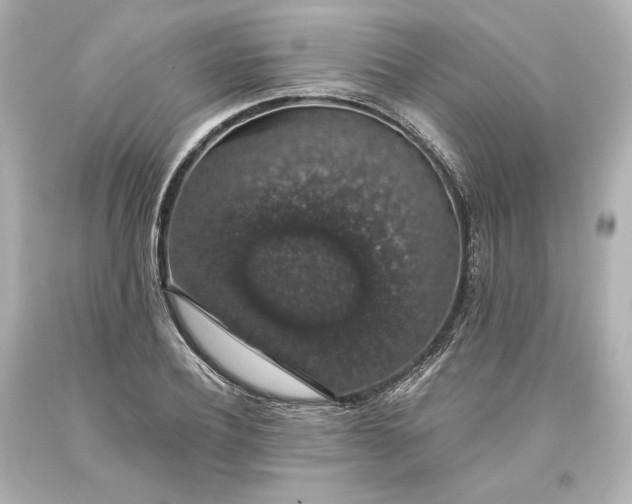 X0000093620932200710291223