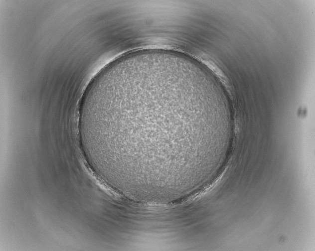 X0000093620933200710291223