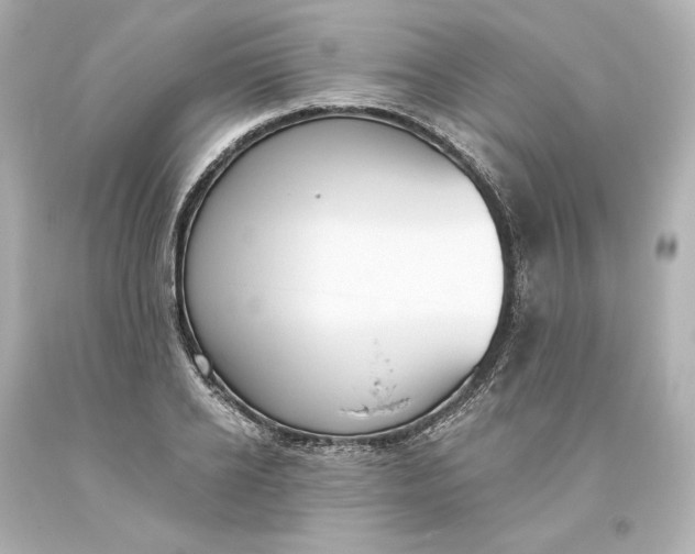 X0000093620934200710291223