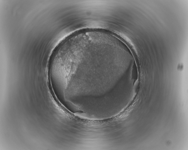 X0000093620935200710291223