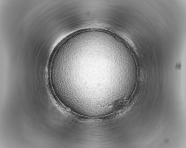 X0000093620936200710291223