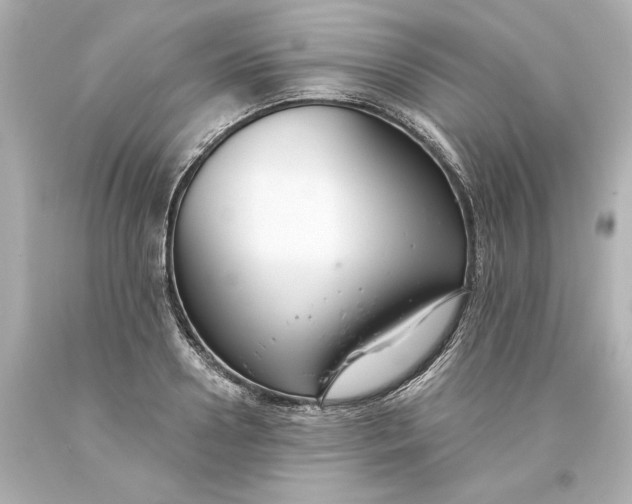 X0000093620938200710291223