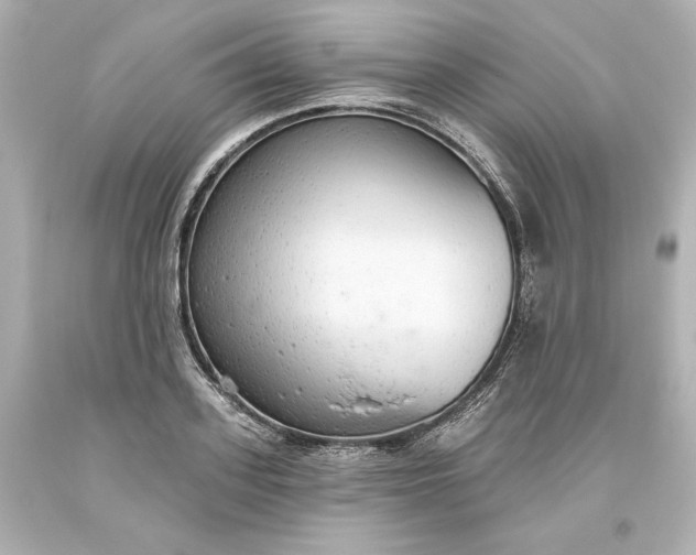X0000093620939200710291223