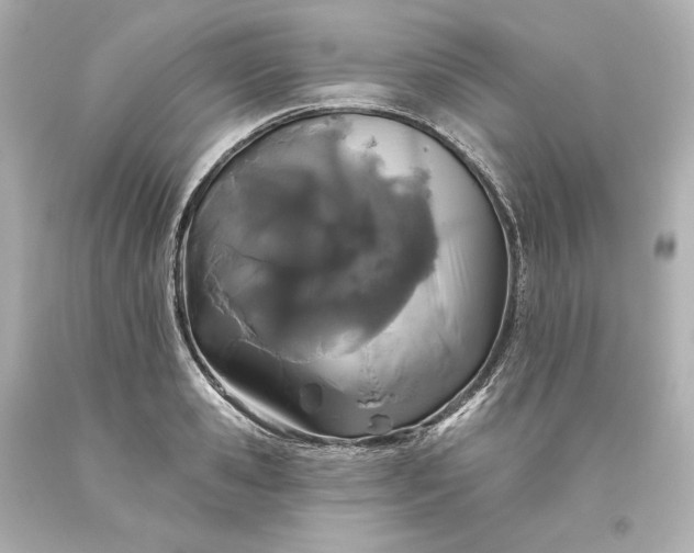 X0000093620941200710291223
