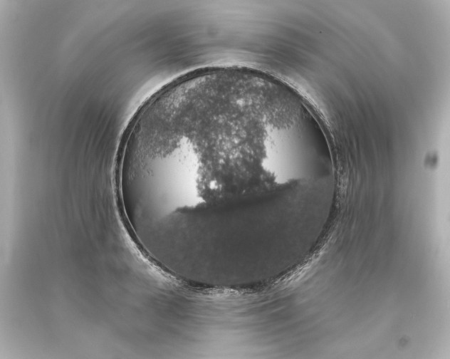 X0000093620943200710291223