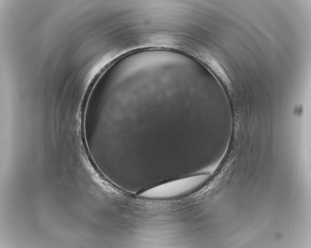 X0000093620944200710291223