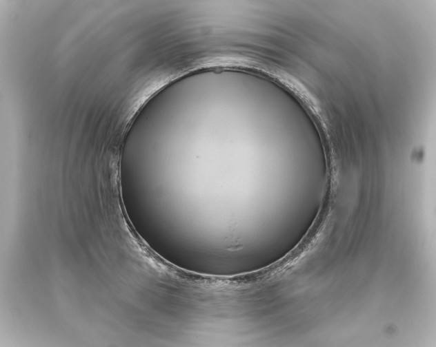 X0000093620945200710291223