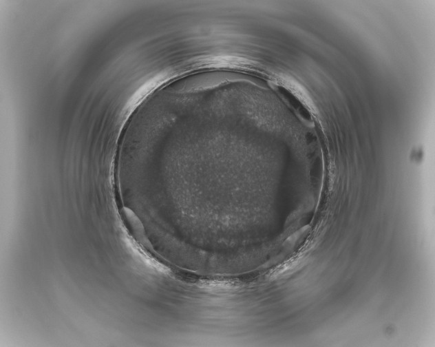 X0000093620946200710291223
