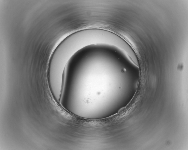 X0000093620948200710291223