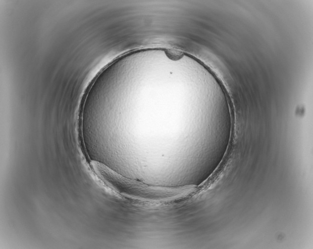 X0000093620949200710291223