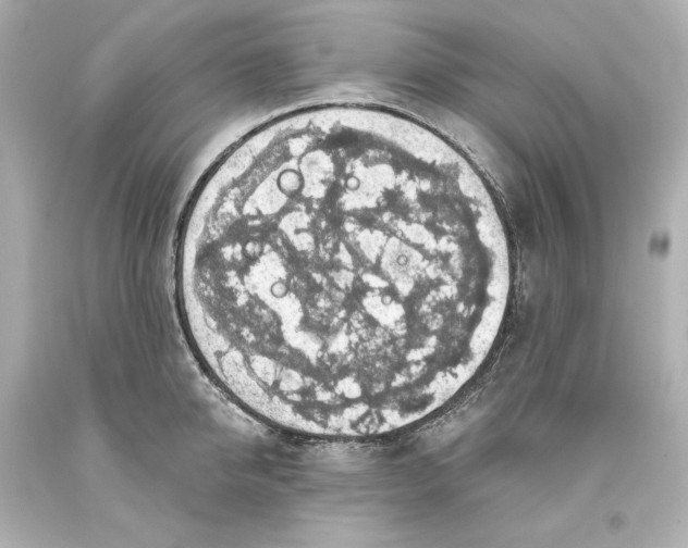X0000093620950200710291223
