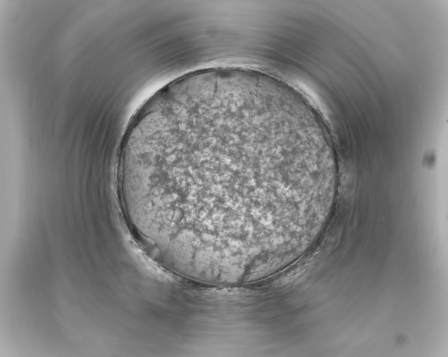 X0000093620952200710291223