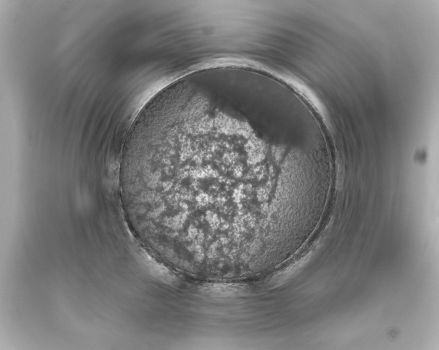 X0000093620953200710291223