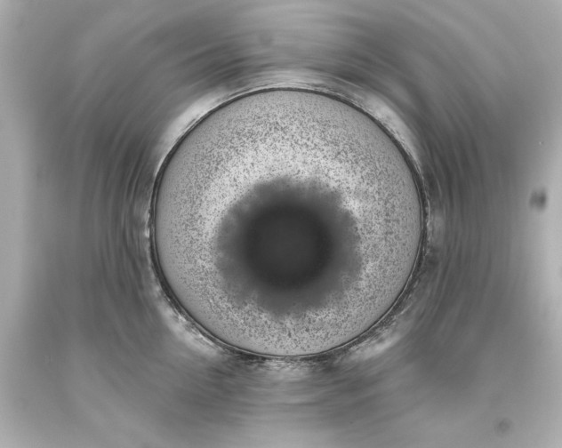 X0000093620954200710291223