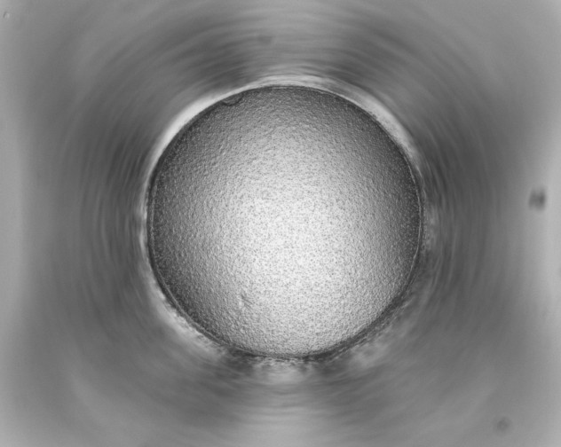 X0000093620955200710291223