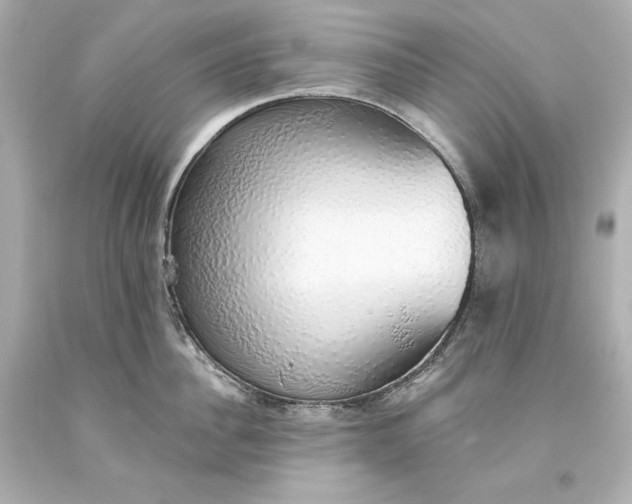 X0000093620956200710291223