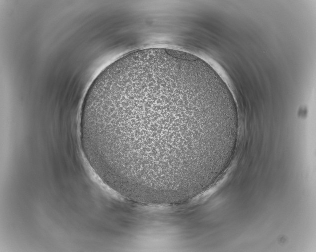 X0000093620957200710291223
