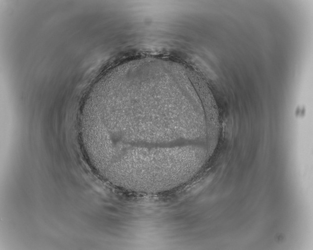 X0000093620961200710291223
