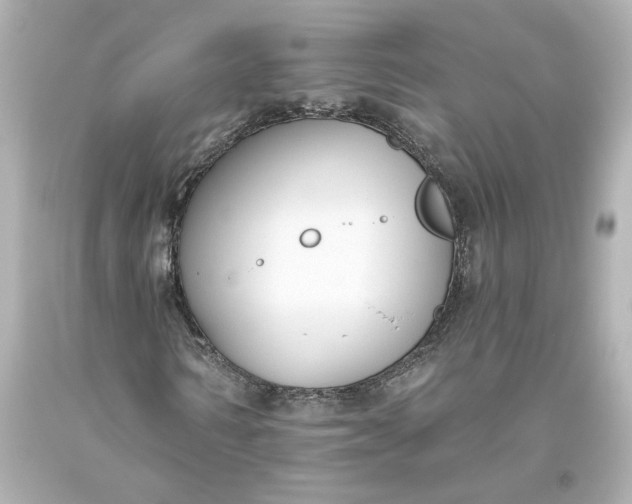 X0000093620962200710291223
