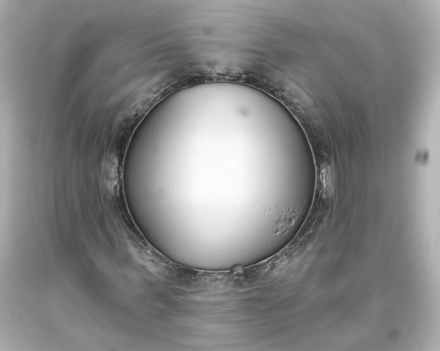 X0000093620963200710291223