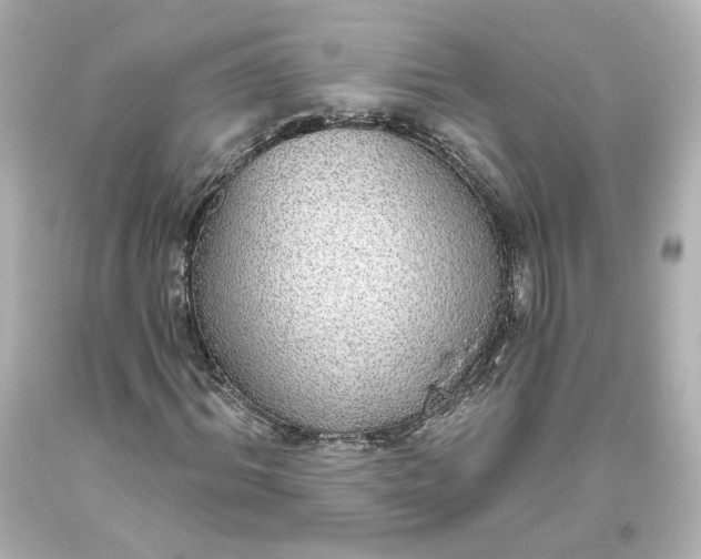 X0000093620964200710291223