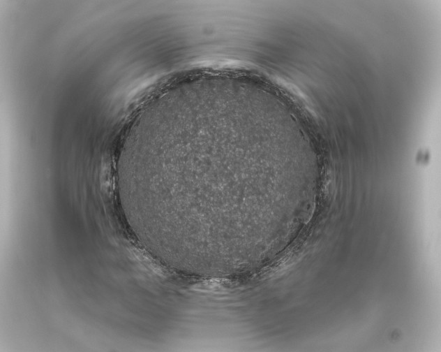 X0000093620966200710291223