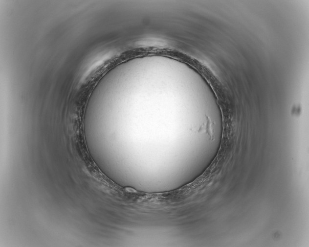 X0000093620967200710291223