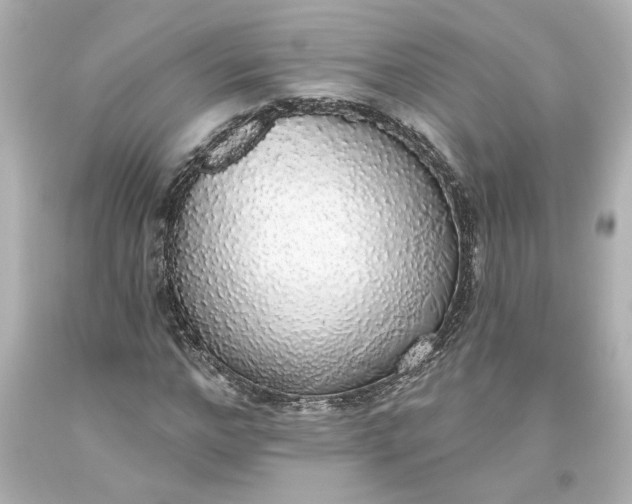 X0000093620968200710291223