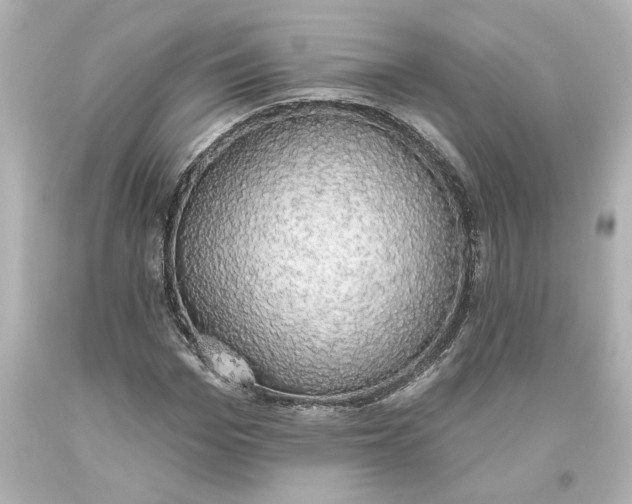 X0000093620969200710291223