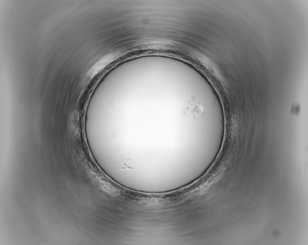 X0000093620970200710291223