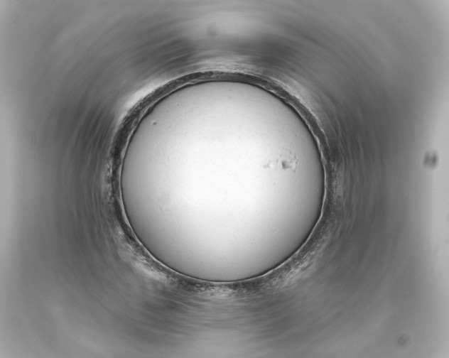 X0000093620971200710291223