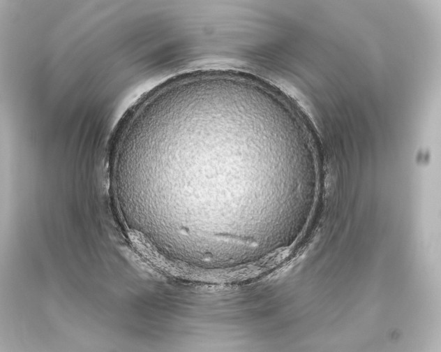 X0000093620973200710291223