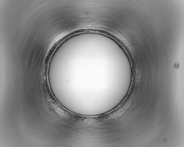 X0000093620974200710291223