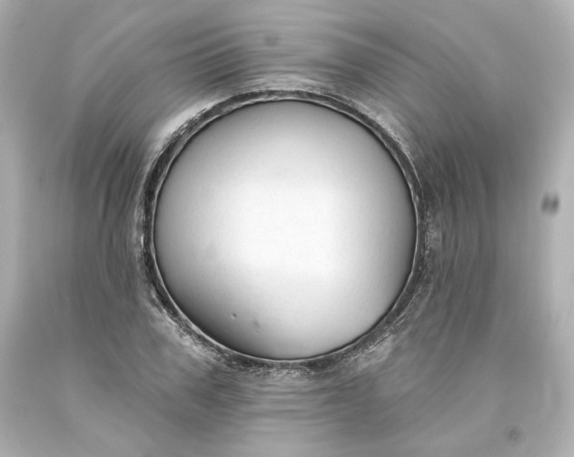 X0000093620979200710291222