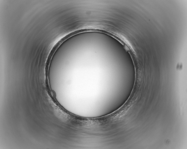 X0000093620980200710291222