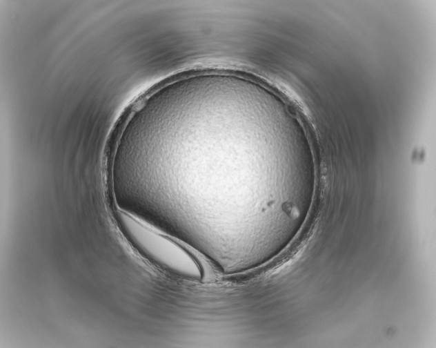 X0000093620981200710291222