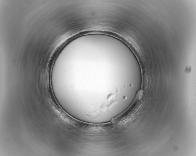 X0000093620982200710291222