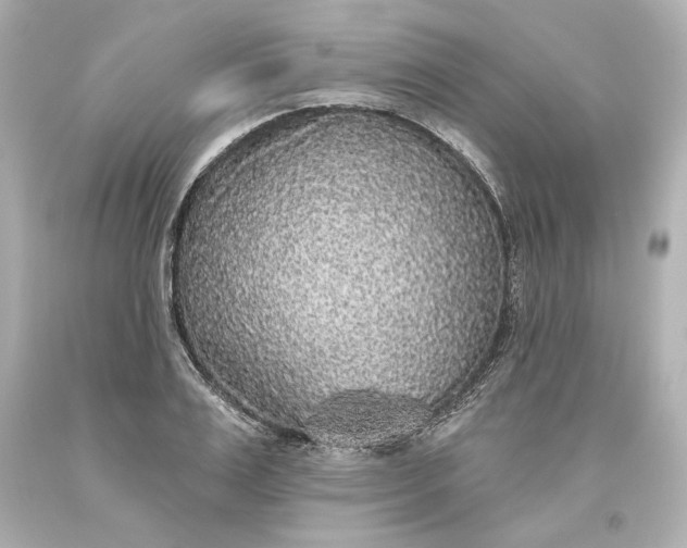 X0000093620983200710291222