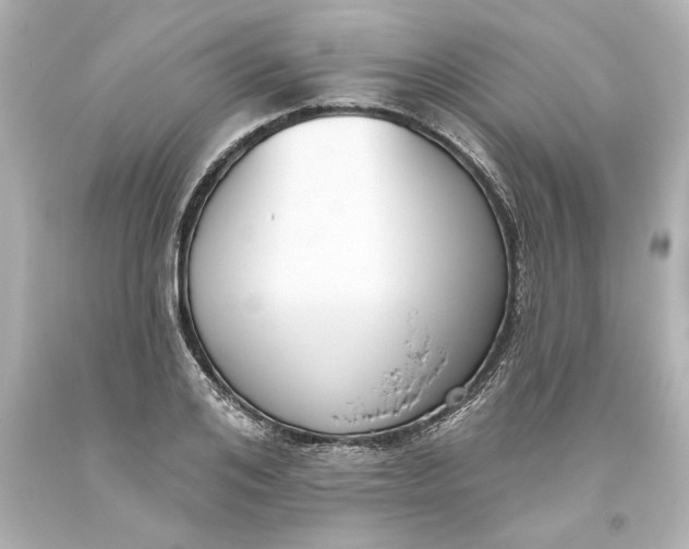 X0000093620984200710291222