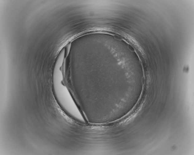 X0000093620985200710291222