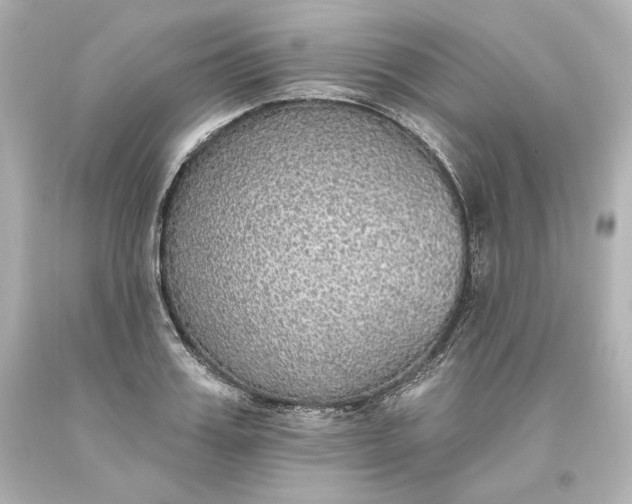 X0000093620987200710291222