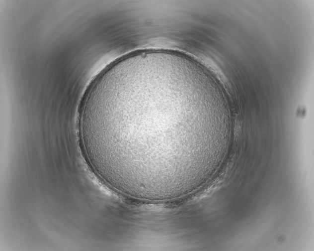 X0000093620990200710291222