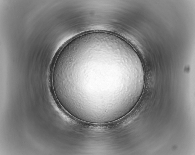 X0000093620991200710291222