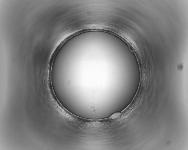 X0000093620992200710291222