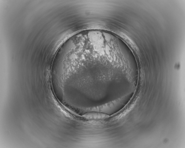 X0000093620993200710291222