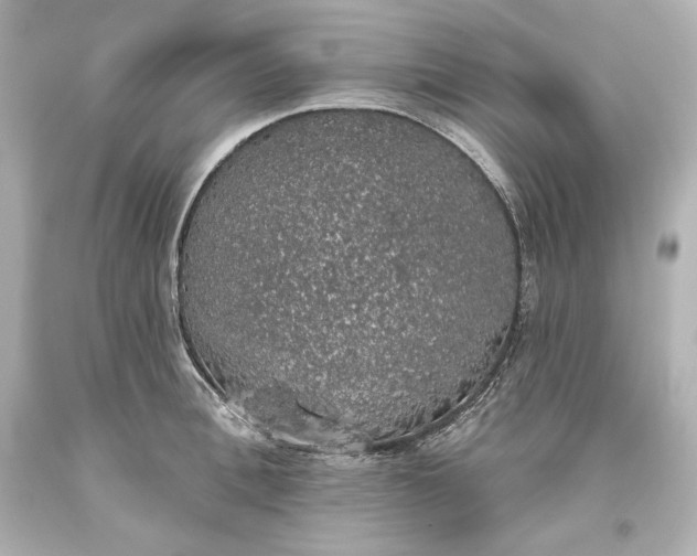 X0000093620996200710291222