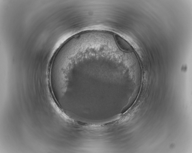 X0000093620998200710291222